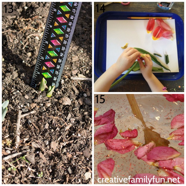 Get outside and learn while you explore nature in spring. Discover flowers, gardens, seeds, birds, animals, and plant science.