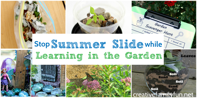 Stop summer slide with some fun and educational learning activities you can do in the garden. Grow seeds, observe bugs, and do more science in the garden.