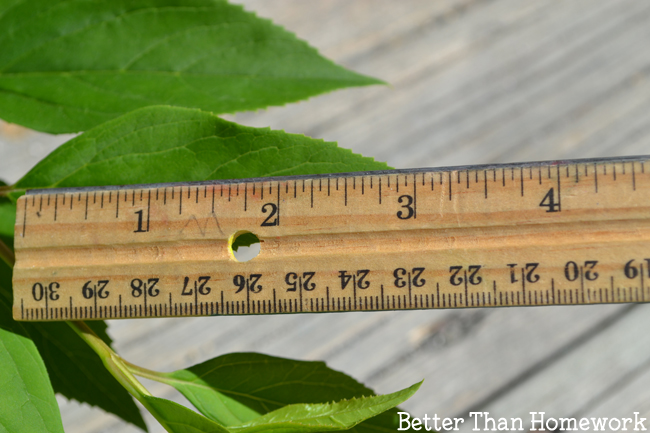 Take your learning outside with this fun backyard measurement scavenger hunt. Grab your printable scavenger hunt and get ready to learn math outside.