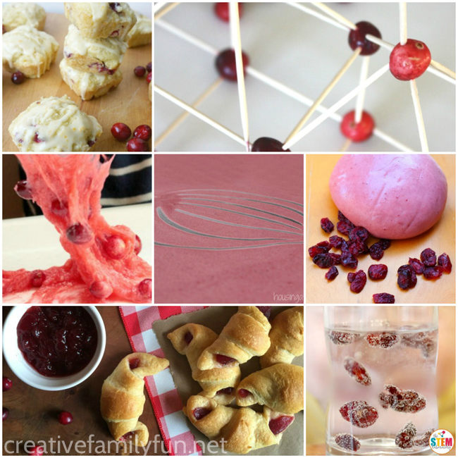 Play, explore, and learn with these fun Cranberry Activities for Kids. You'll find fun sensory ideas, learning activities, and yummy recipes.