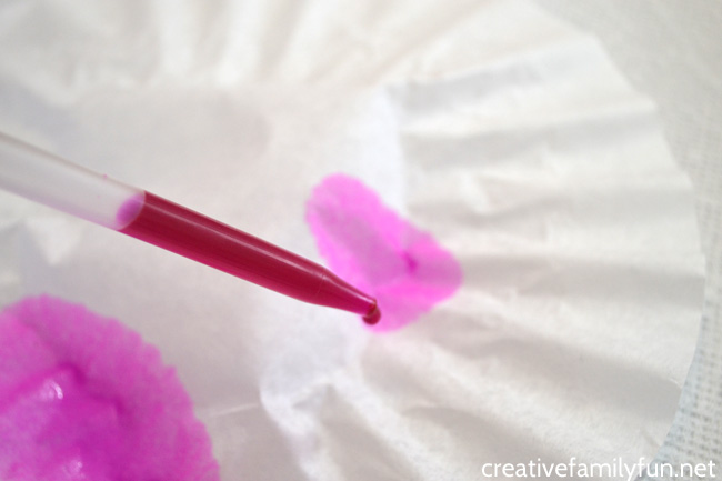 Make one Coffee Filter Valentine Heart Suncatcher or several to decorate your windows this Valentine's Day. This fun kid's craft uses simple supplies and is easy to make.