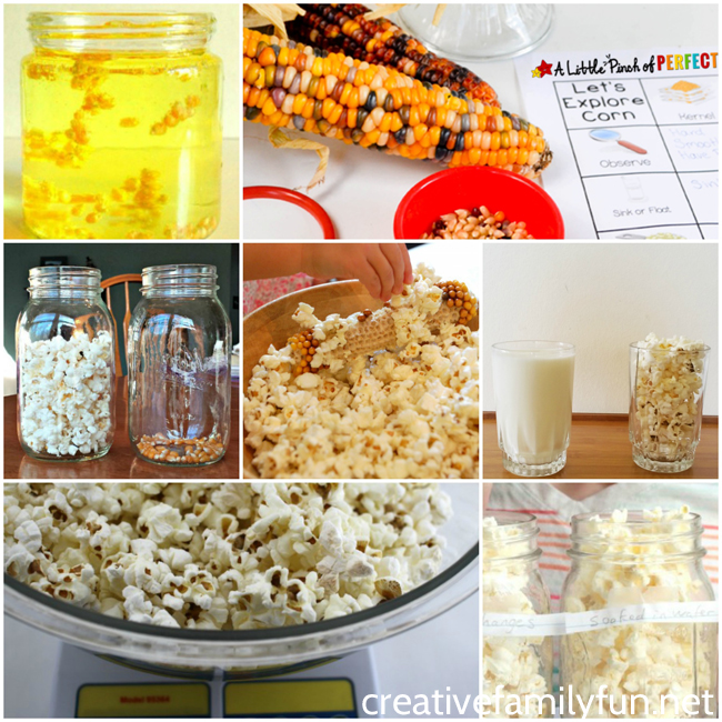 How does popcorn pop? What is the volume of popcorn? Answer these questions and more with these fun popcorn science experiments for kids.