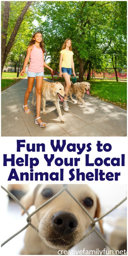 Volunteer together as a family with ones of these fun ways to help your local animal shelter. There's a wide range of ideas that will suit families with all ages of kids.